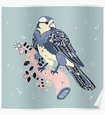 Süßer Robin Poster