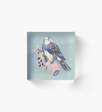 Sweet Robin Acrylic Block