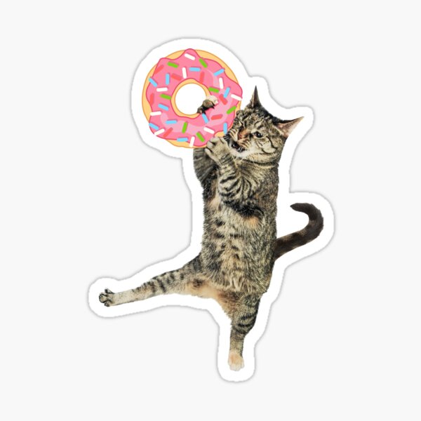Pink Donut CAT-ch Sticker