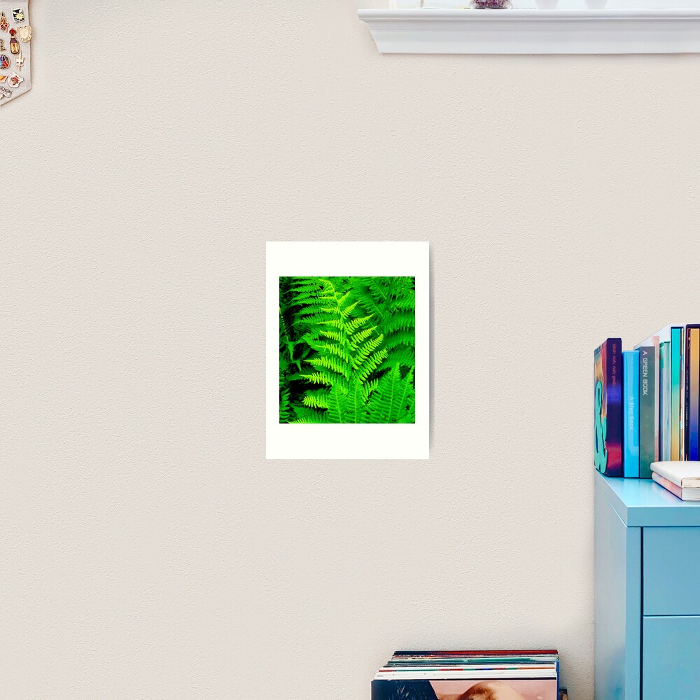 Wild Ferns Art Print