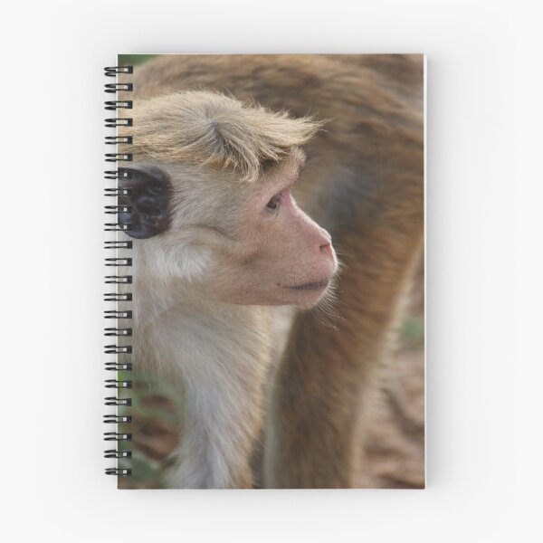 Item preview, Sri Lanka Uda Walawe National Park Bonnet Monkey Monkey Hat Monkey Grass Grass designed and sold by eickys.