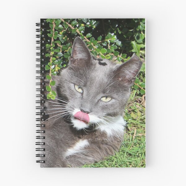 Item preview, Smokey designed and sold by AnnDixon.