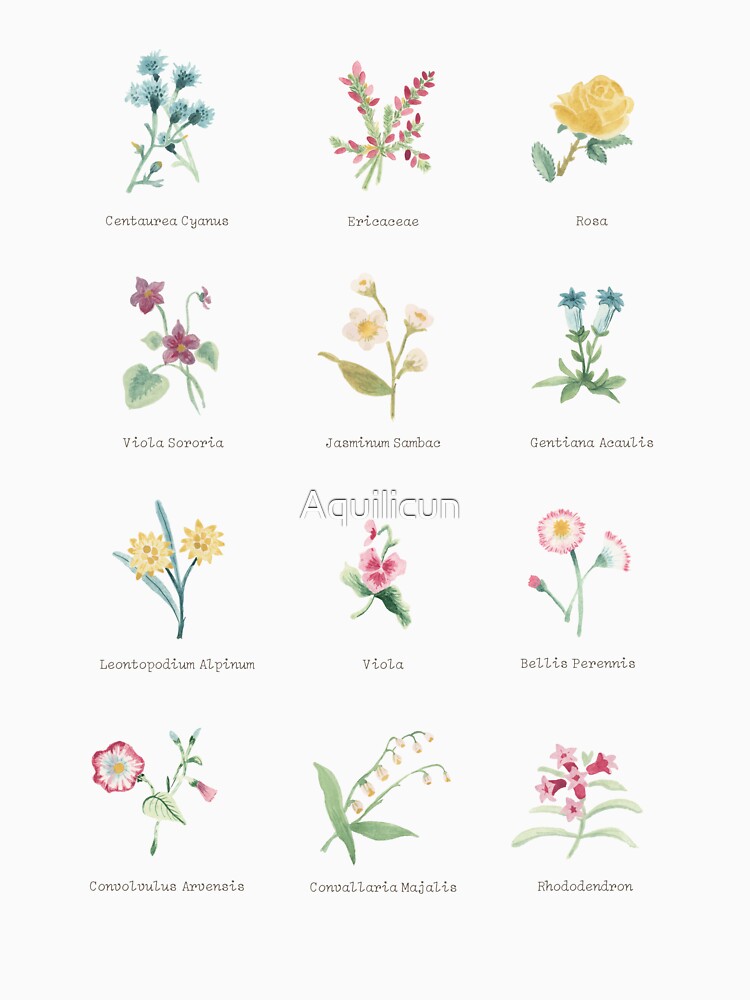 Thumbnail 7 of 7, Classic T-Shirt, Relaxing flower print designed and sold by Aquilicun.