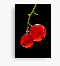 Red Currants Canvas Print