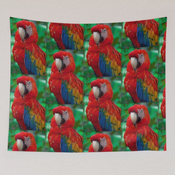 Item preview, Panama. Bocas del Toro. Macaw. designed and sold by vadim19.