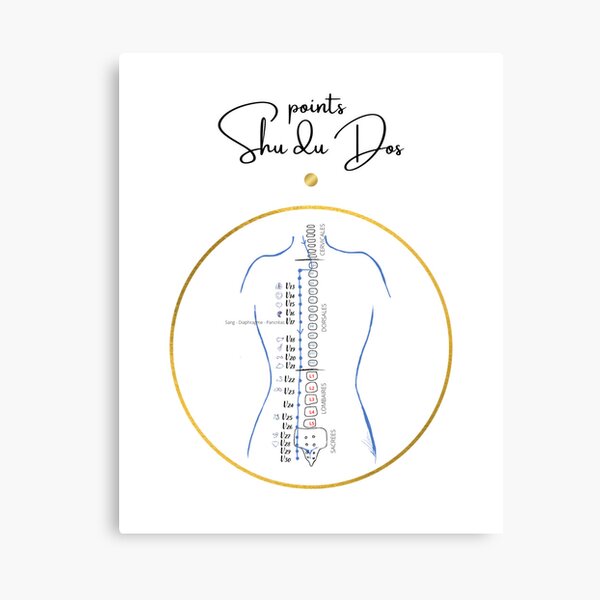 Item preview, Back Shu Points, Bladder Meridian designed and sold by Jeanne-s-Snake.