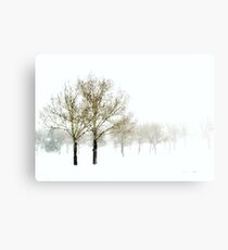 Spring Snowstorm Canvas Print
