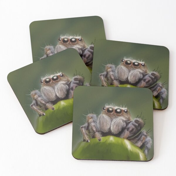 Item preview, Jumping Spider designed and sold by Shimmersnap.