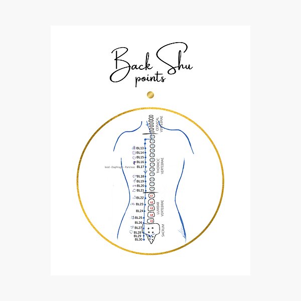 Back Shu Points Poster, English Notation Photographic Print