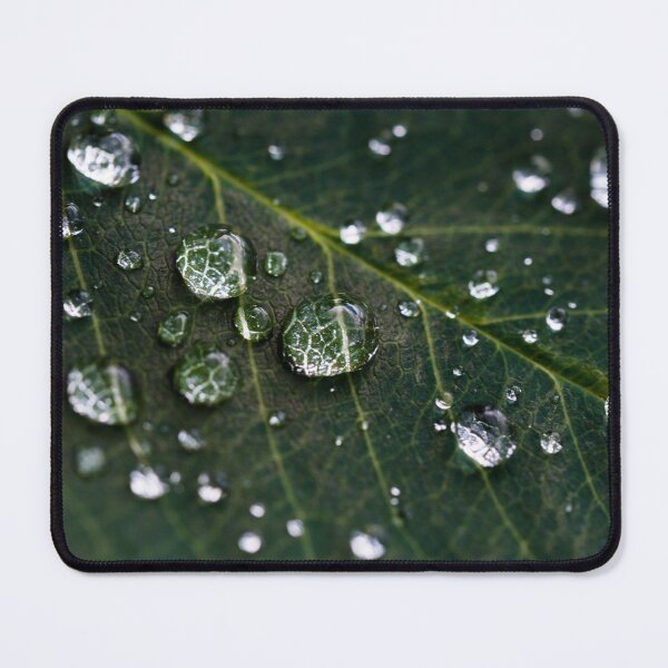 Item preview, Green Leaf designed and sold by asun5.