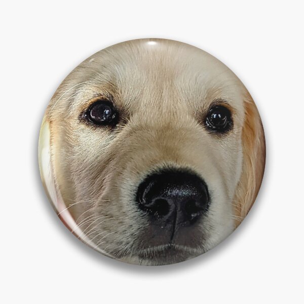 Item preview, Christmas Santa golden retriever puppy designed and sold by Fluffycat2020.
