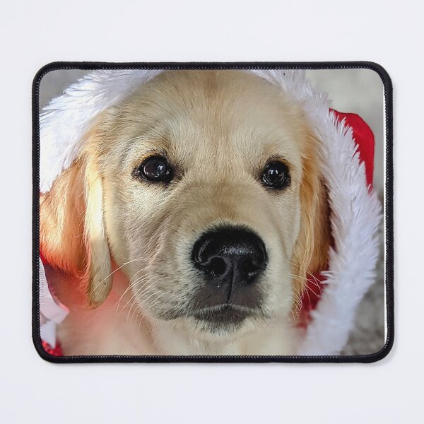 Item preview, Christmas Santa golden retriever puppy designed and sold by Fluffycat2020.