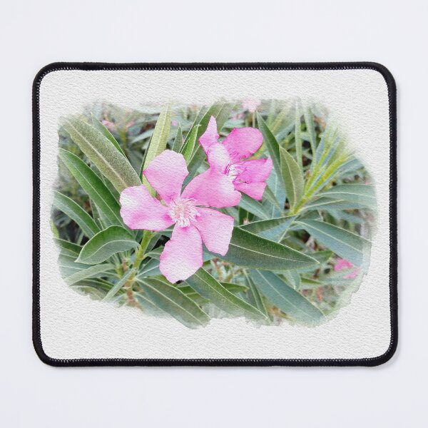 Item preview, Nerium Oleander Digital Watercolor original artwork designed and sold by paragonDesign28.