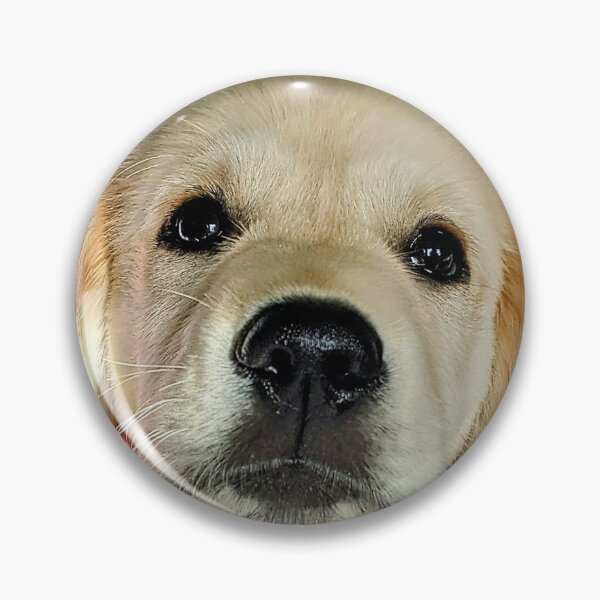 Item preview, Christmas Santa golden retriever puppy designed and sold by Fluffycat2020.