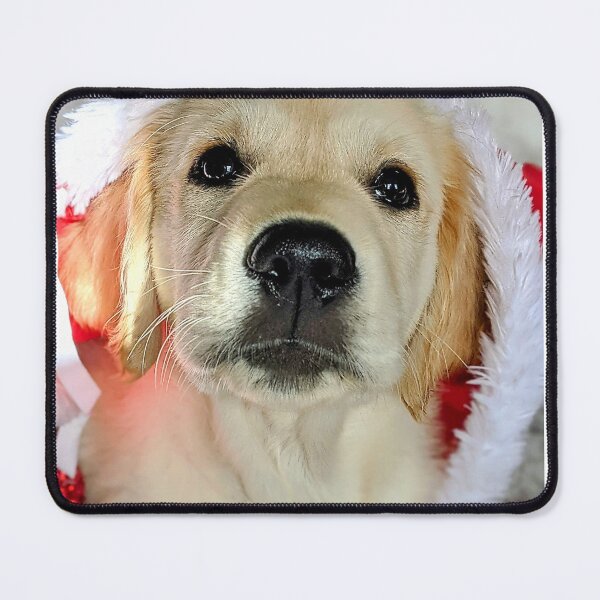 Item preview, Christmas Santa golden retriever puppy designed and sold by Fluffycat2020.