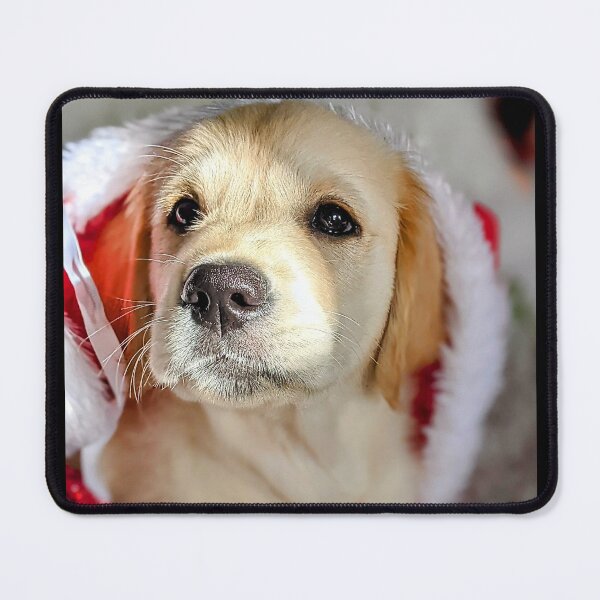 Item preview, Christmas Santa golden retriever puppy designed and sold by Fluffycat2020.