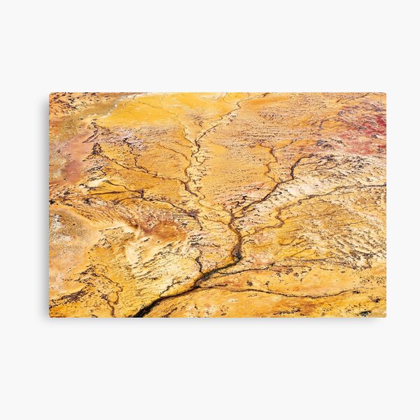 The River Canvas Print