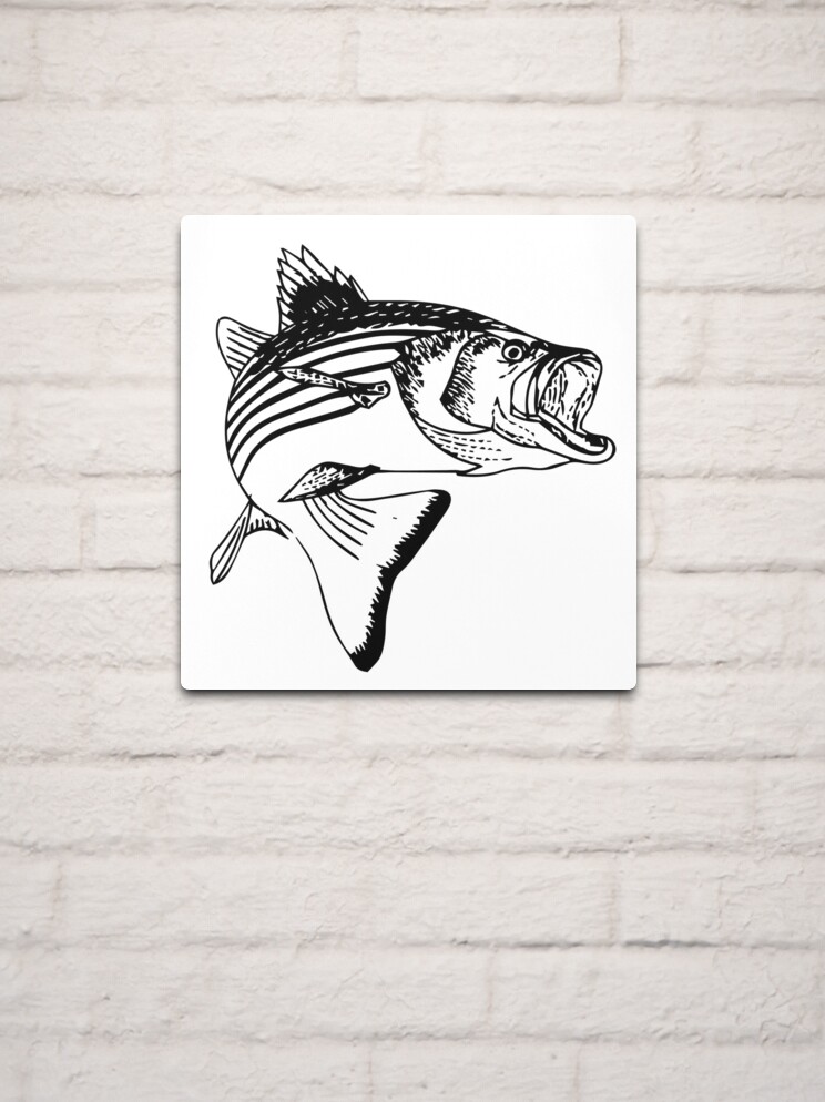 Striped Bass Metal Print for Sale by OctopusOveralls