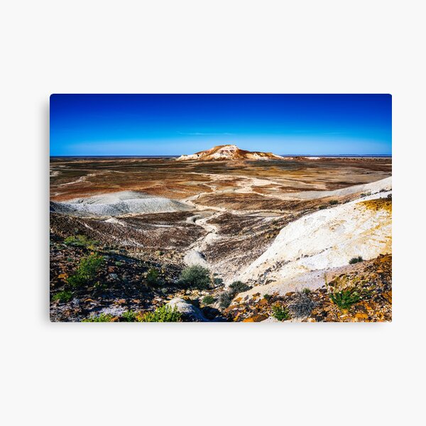 Painted Desert Landscape Canvas Print