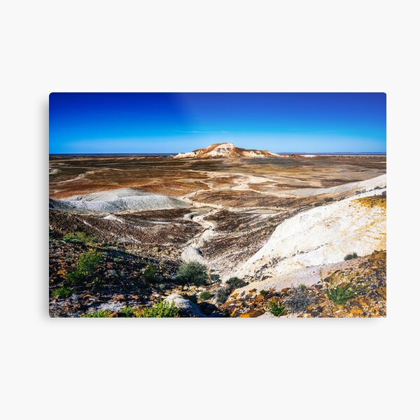 Painted Desert Landscape Metal Print