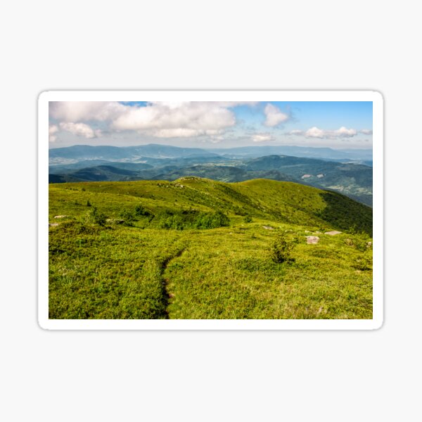 footpath through grassy mountain meadow Sticker