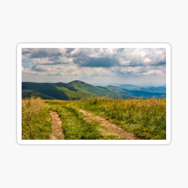 dirt road through grassy meadow on the ridge Sticker