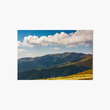 Carpathian Mountain Range in summer Art Board Print