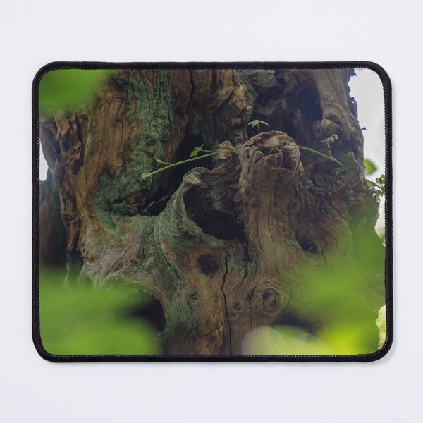 Item preview, tree trunk through foliage designed and sold by OskiOnTour.