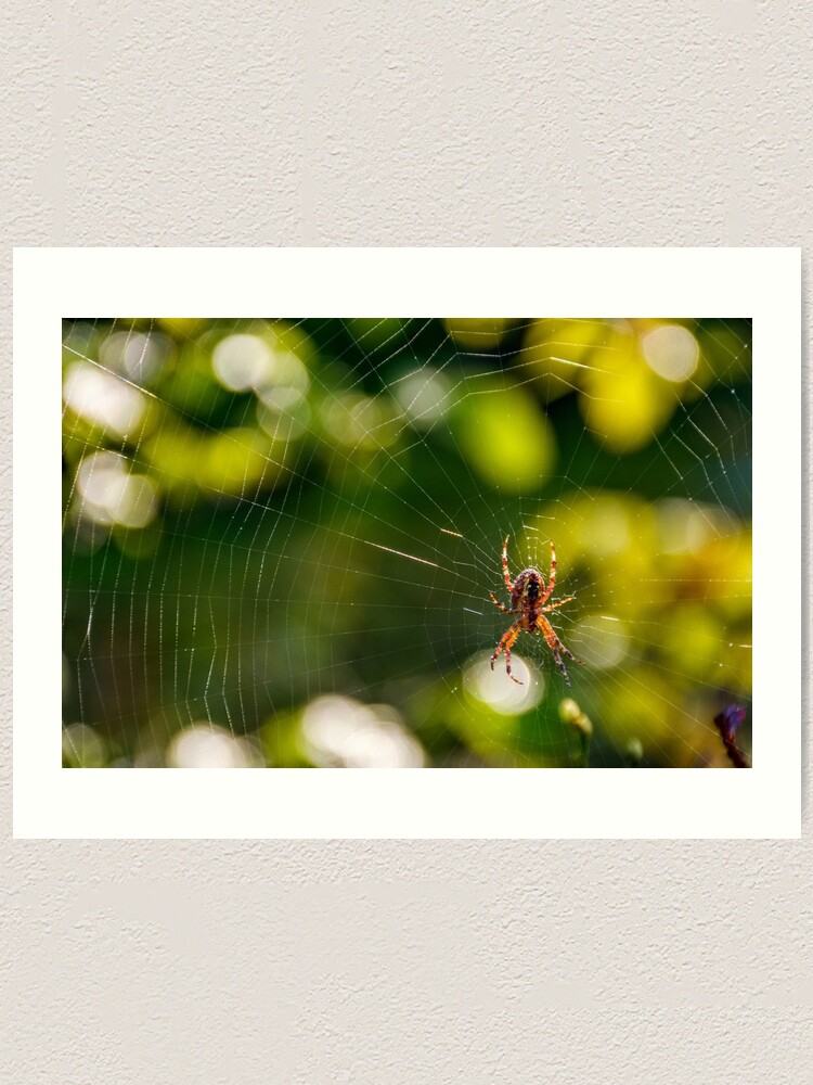 Alternate view of spider in the web on beautiful foliage bokeh Art Print