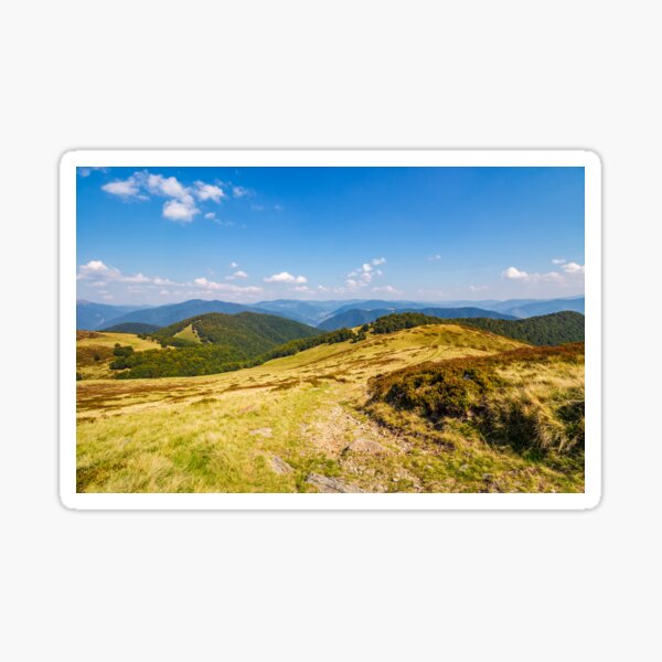 grassy meadow on a hillside in autumn Sticker