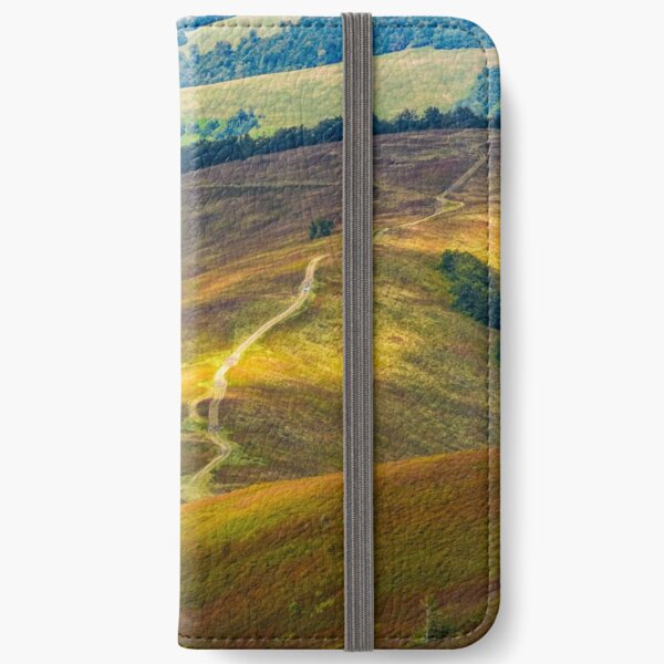 path down the grassy hillside to valley iPhone Wallet