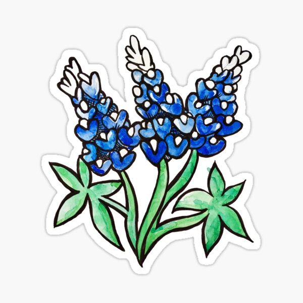 Texas Bluebonnets Sticker