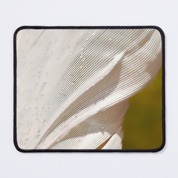 Item preview, Successfully Free #1 - Seagull Feather designed and sold by AHA-nature.
