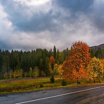 Artwork thumbnail, colorful foliage on serpentine in rainy fall weather by mike-pellinni