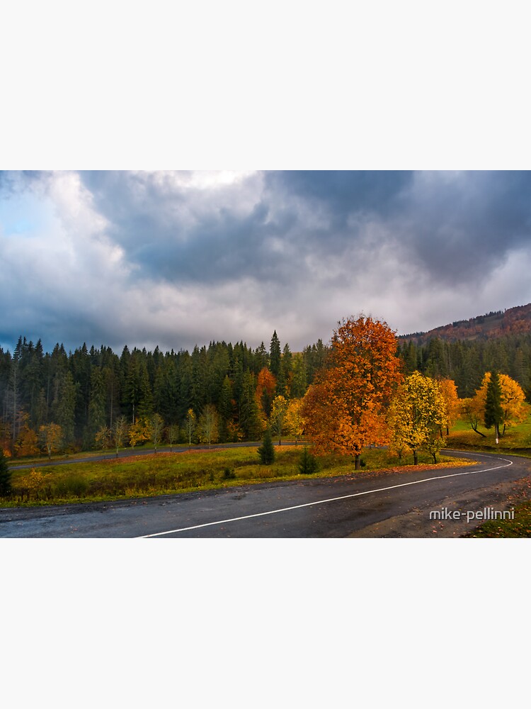 Thumbnail 3 of 3, Sticker, colorful foliage on serpentine in rainy fall weather designed and sold by mike-pellinni.