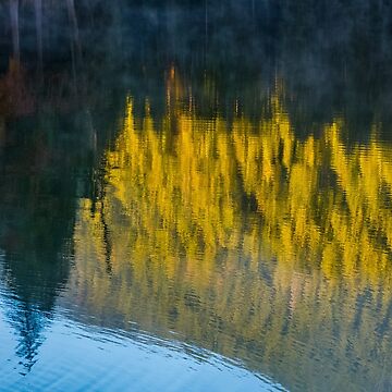 Artwork thumbnail, lake surface reflecting spruce forest at sunrise by mike-pellinni