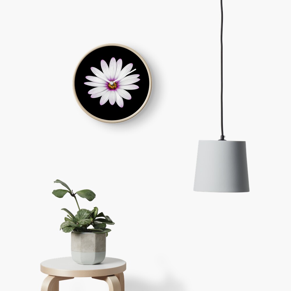 African Daisy Clock