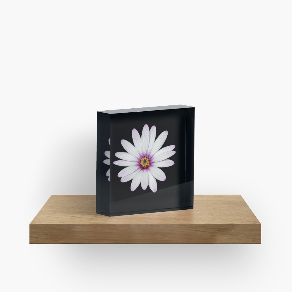 African Daisy Acrylic Block