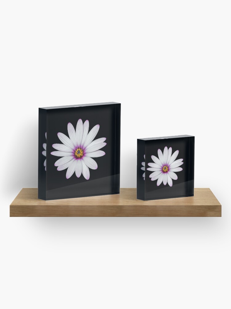 Alternate view of African Daisy Acrylic Block