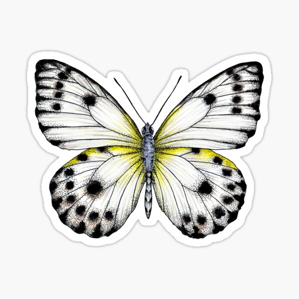 Item preview, Papillon blanc designed and sold by PetitMartin.