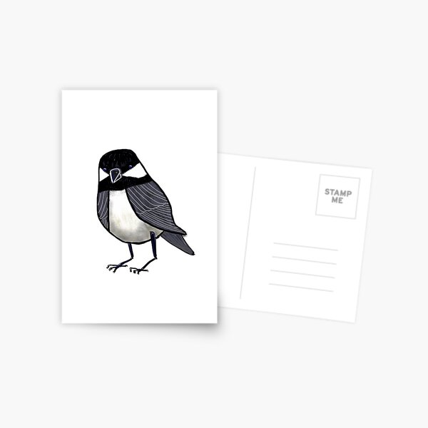 Backyard Chickadee Postcard