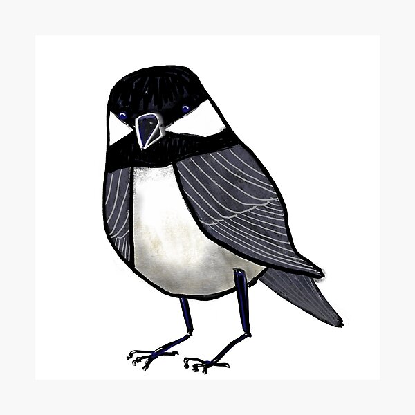 Backyard Chickadee Photographic Print