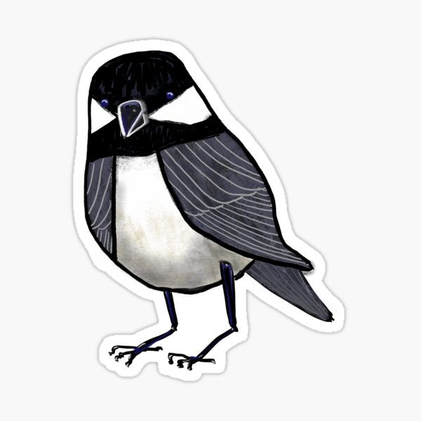 Backyard Chickadee Sticker