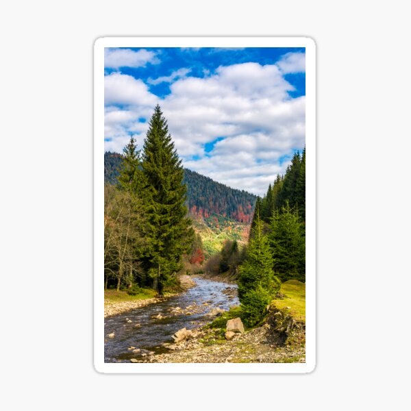 autumnal landscape with river in spruce forest Sticker