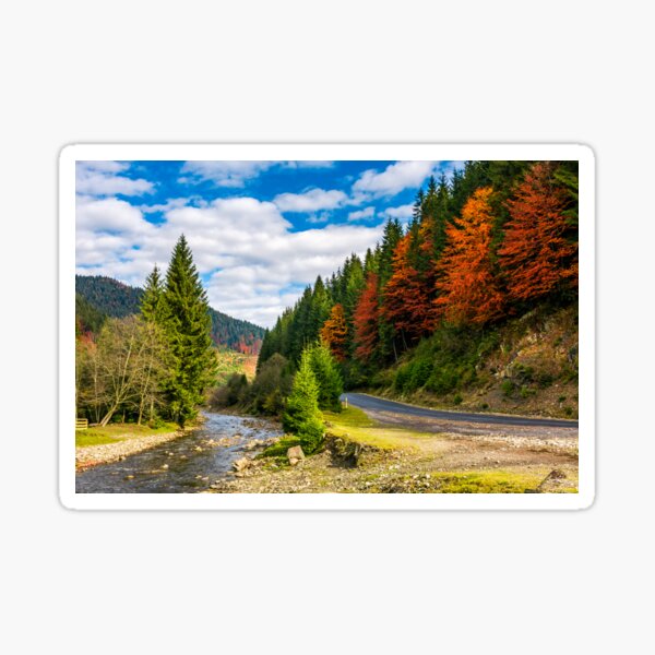 forest river by the road in autumnal countryside Sticker