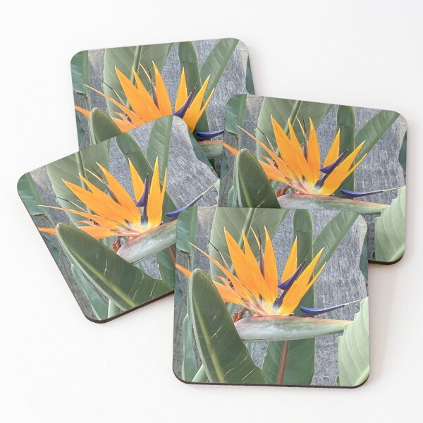 Artikelvorschau, Mex Bird of Paradise2 entworfen und verkauft von ClaireRequa.