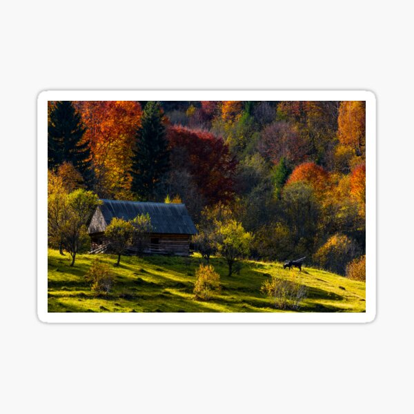 cow near woodshed in autumn forest Sticker
