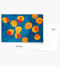 Orange apricots Postcards