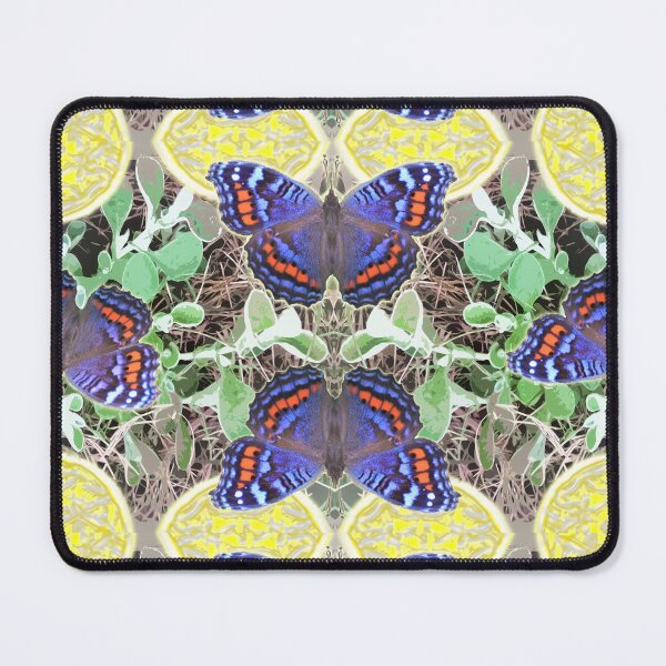 Item preview, Butterfly Flight Imphepho Healing Rhapsody  designed and sold by SpiritGifts.