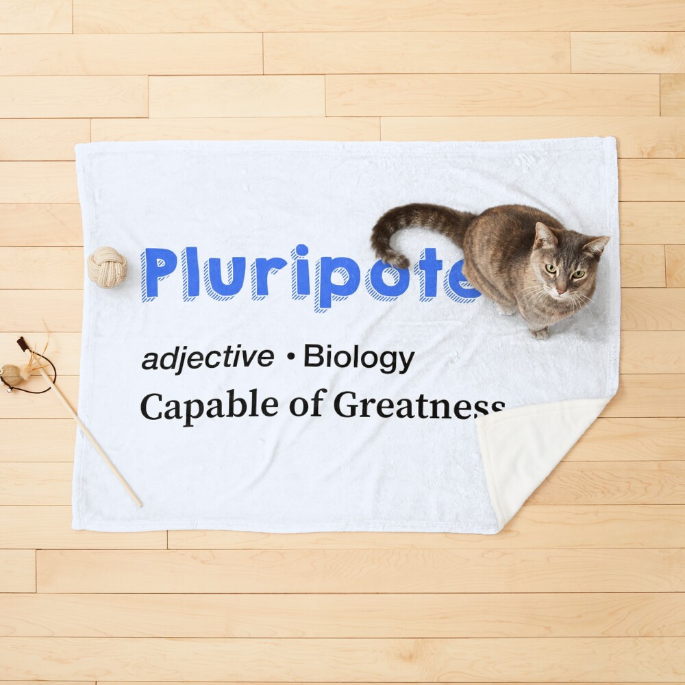 Item preview, Pet Blanket designed and sold by labstud.